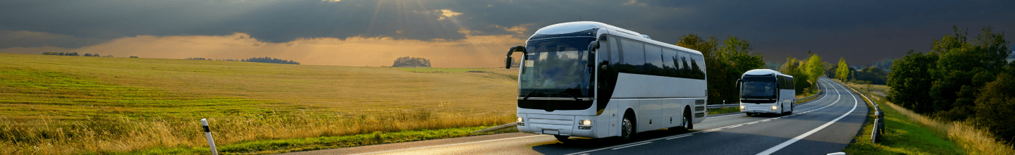Logo Flecha Bus